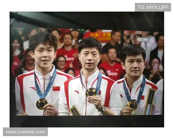 乒乓球传奇：杭州乒乓球队逆袭之路的奋斗与荣耀